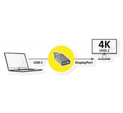 Slika proizvoda: ROLINE GOLD USB Type C - DisplayPort Adapter, 4096 x 2560 @60Hz (4K) v1.2, M/F